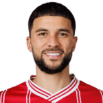 纳基·威尔斯