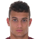 托马索米兰内塞