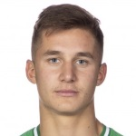 莱奥本特松